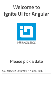 Ignite UI for Angular example